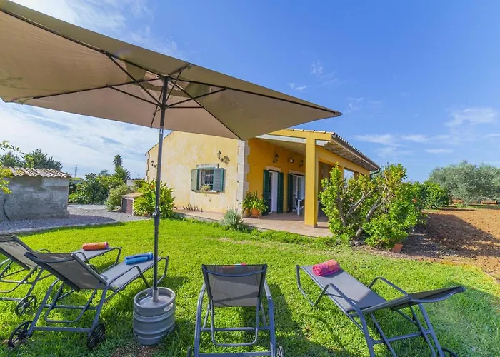 Finca SON SERRA Buger